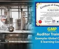 Online GMP Auditor Training