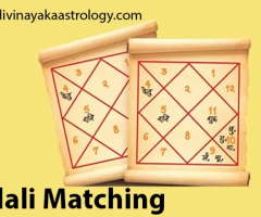 Best Astrologer in Kundli Matching in Bangalore