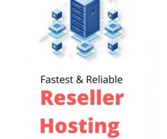Choosing the Right Reseller Hosting Plan for Your Needs