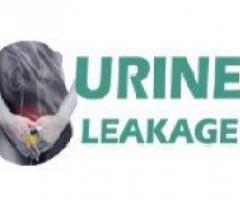 Herbal Treatment of Urine Leakage