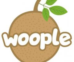 Easy Fruit Jam Recipe | Woople Foods