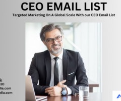 Fresh CEO Email List Providers In USA-UK