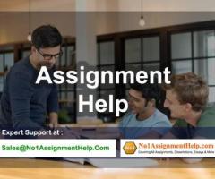 Get The Best Assignment Help By An Expert - No1AssignmentHelp.Com - 1