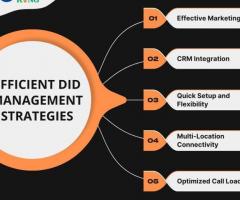 Mastering Efficient DID Management: Unleash Success!