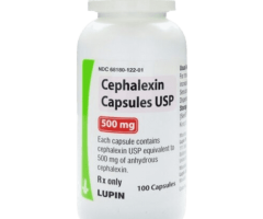Buy cephalexin 500mg at $25 discount and 'FREE SHIPPING'