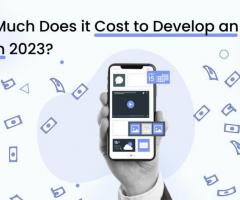 How Much Does it cost to Develop an app in 2023? - 1