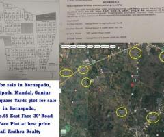 Plot for sale in guntur  kornepadu prathipadu guntur - 1
