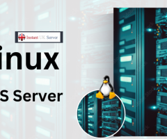 Linux VPS Server: Your Gateway to Digital Excellence - 1
