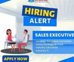Urgent Hiring For Sales Executive. (Inside Sales) For A Edtech Company - 1