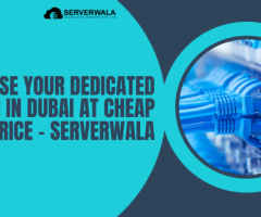 Choose your Dedicated Server in Dubai at Cheap Price - Serverwala