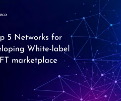 Top 5 Networks for Developing White-label NFT marketplace - 1