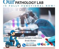 Premier and Affordable Pathology Centre in Patna | Raman Imaging & Diagnostic Centre