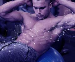 Hormones and How they Affect Body Fat Loss - Elite Sarms