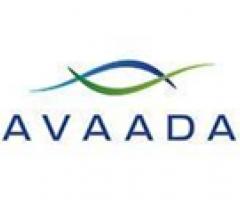 Solar Module Manufacturing Company - Avaada - 1