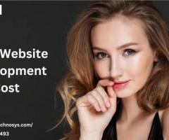 Adult Website Development Cost