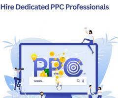 Hire Dedicated PPC Professionals - 1