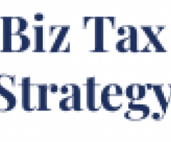 Biz Tax Strategy