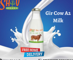 Top Bilona Gir Cow Ghee A2 milk supplier in Nagpur price