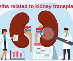 Options for Kidney Stone Treatment