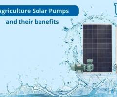 Why Do You Need a Solar Pump to Meet Your Agricultural Needs?