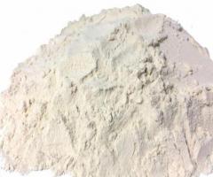 Leading Anti Moisture Powder Manufacturers from Udaipur