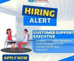 Customer Support Executive Job At Solasta Ayer Pvt. Ltd. - 1