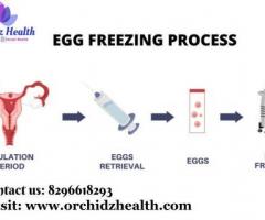 Orchidz Health: Egg Freezing Savings