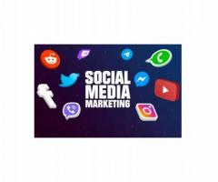 Social Media Marketing (SMM) Company In Faridabad- Think Web - 1