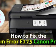 System Error E225 Canon Printer