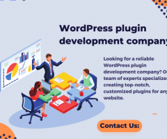WordPress plugin development company - 1
