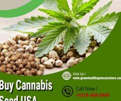 Buy Cannabis Seed USA - Green Leaf Dispensary Store