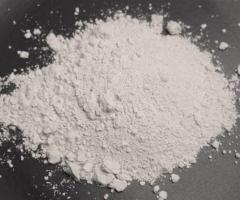 Diatomaceous Earth for Insecticides - 1