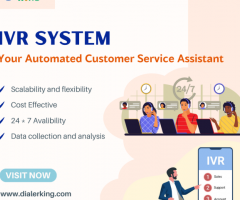 IVR solutions