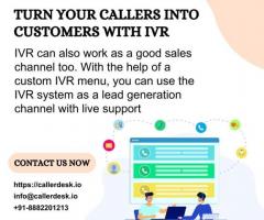 IVR Service Provider - 1