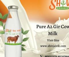 A2 milk near me & Bilona ghee desi cow milk Nagpur price - 1