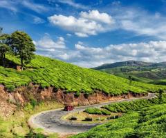 Munnar Tourist Places: Best Places to Visit in the Hill Station of Kerala