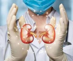 All that You Should Acknowledge About Kidney Testing