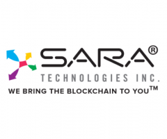 Boundless Possibilities of Blockchain Gaming with Sara Technologies Inc. - 1