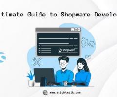 The Ultimate Guide to Shopware Development