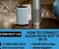 How to connect Alexa Echo Dot to Wi-Fi |+1-855-393-7243 | Alexa Support