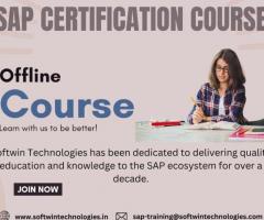Invest in the Future: SAP Corporate Training for Sustainable Organizational Growth