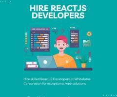 Hire ReactJS Developers Washington, USA