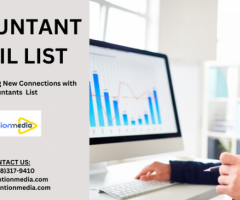 Updated Accountants Email List Providers In USA-UK