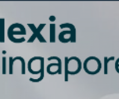 Company Restructuring & Strategy Consultant | Nexia Singapore PAC - 1