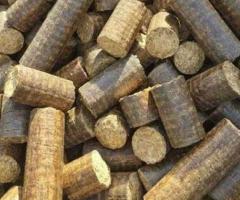 Biomass: Pioneering Sustainability with Mustard Briquettes