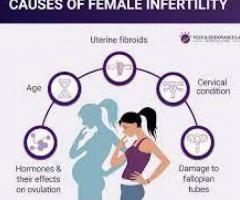 Fibroids and Infertility - 1