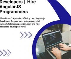 Hire AngularJS Developers - 1