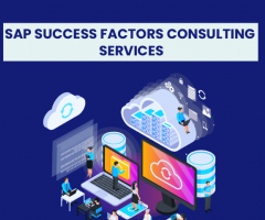 SAP SuccessFactors Consulting services