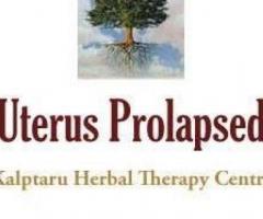 Herbal Treatment of Uterus Prolapsed 