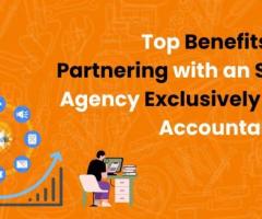 Benefits of Partnering with an SEO Agency Exclusively for Accountants - 1